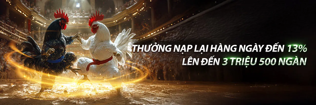 Sự kiện đặc biệt & giải đấu 01win55 casino